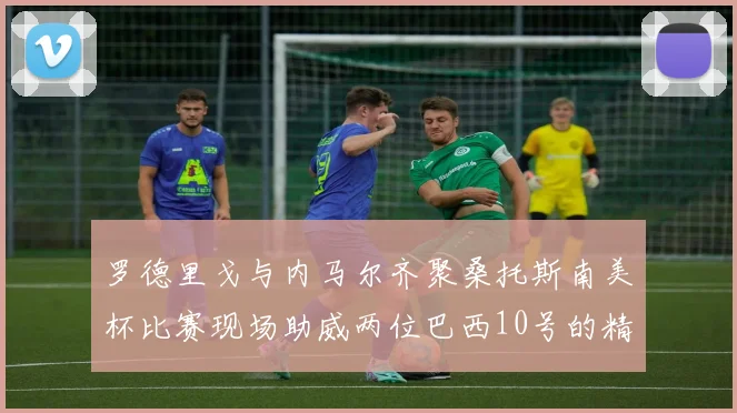 罗德里戈与内马尔齐聚桑托斯南美杯比赛现场助威两位巴西10号的精彩时刻