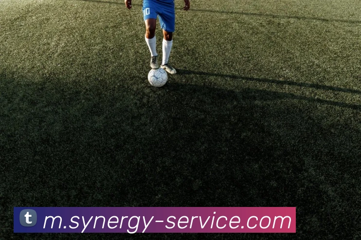体育数据展示